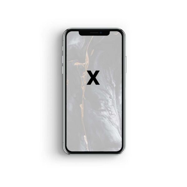 iPhone X Reparatur